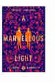 A Marvellous Light PDF