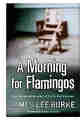 A Morning For Flamingos