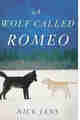 A wolf Called Romeo