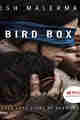 Bird Box