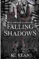 Falling Shadows