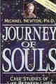 Journey of Souls Case Studies of Life Between Lives