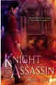 Knight Assassin