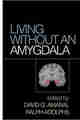 Living Without an Amygdala PDF Free