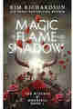 Magic of Flame and Shadow