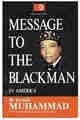 Message to the Blackman in America