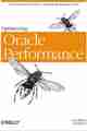 Optimizing Oracle Performance Optimizing Oracle Performance