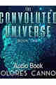 The Convoluted Universe