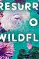 THE RESURRECTION OF WILDFLOWERS BY MICALEA SMELTZER PDF DOWNLOAD