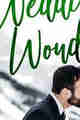 WEDDING WONDERLAND BY SAMANTHA CHASE PDF DOWNLOAD