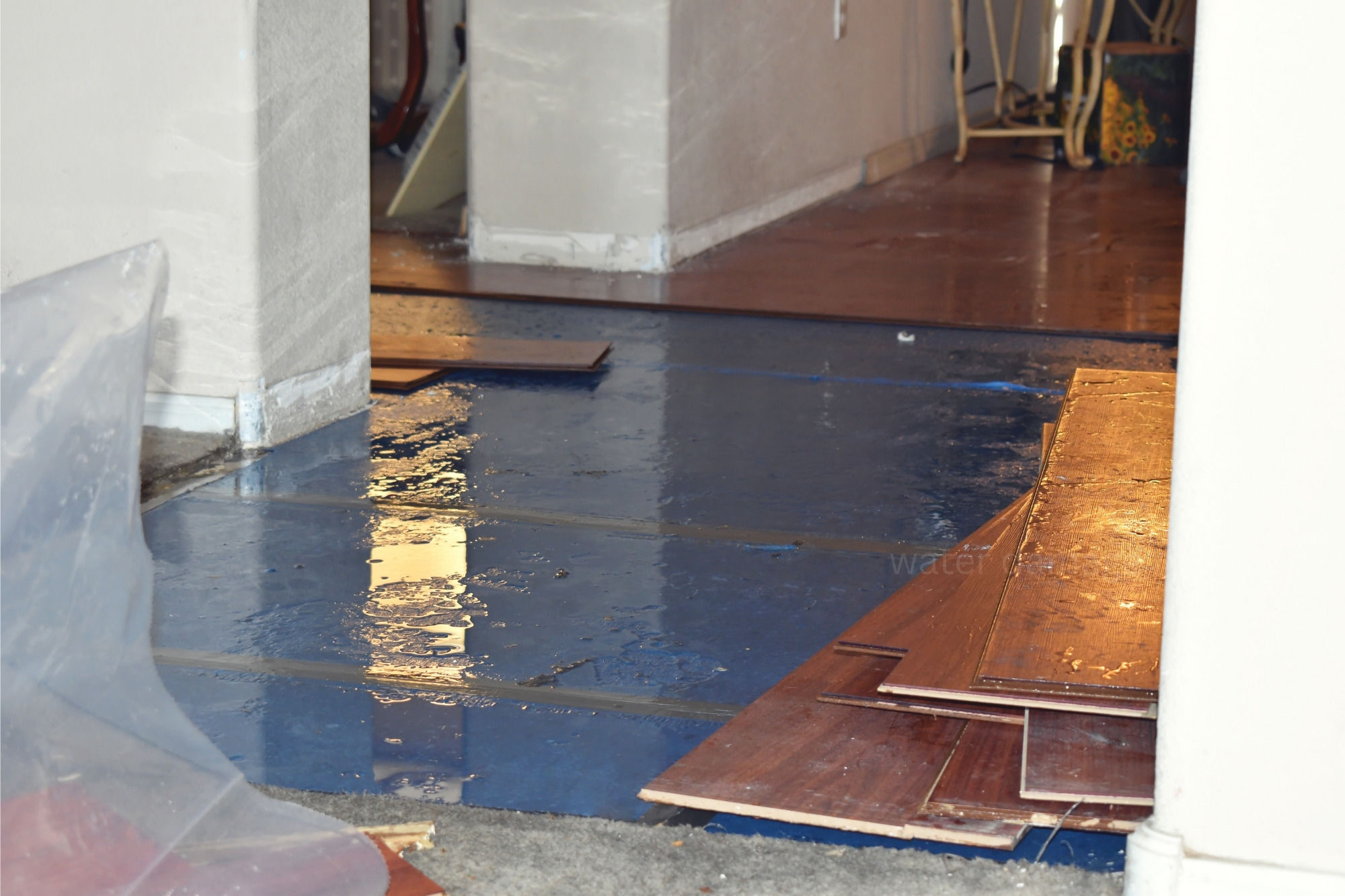 floor water restoration