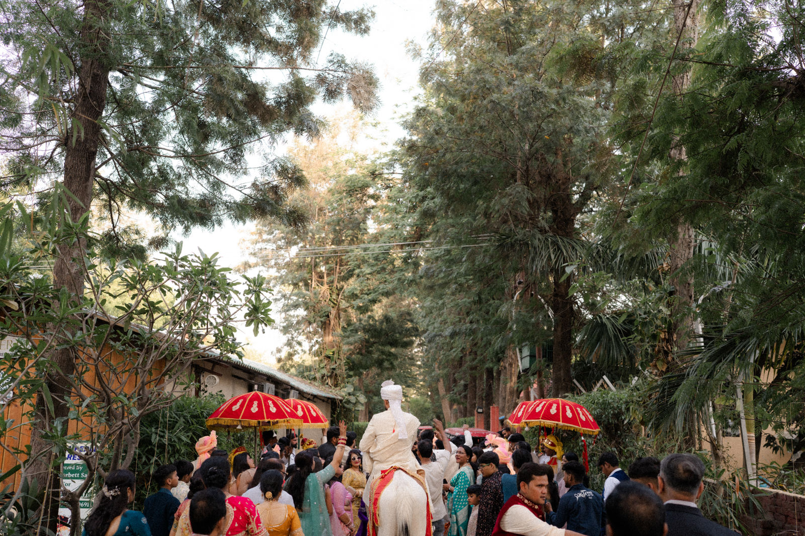 The baraat moving under tall trees with red umbrellas