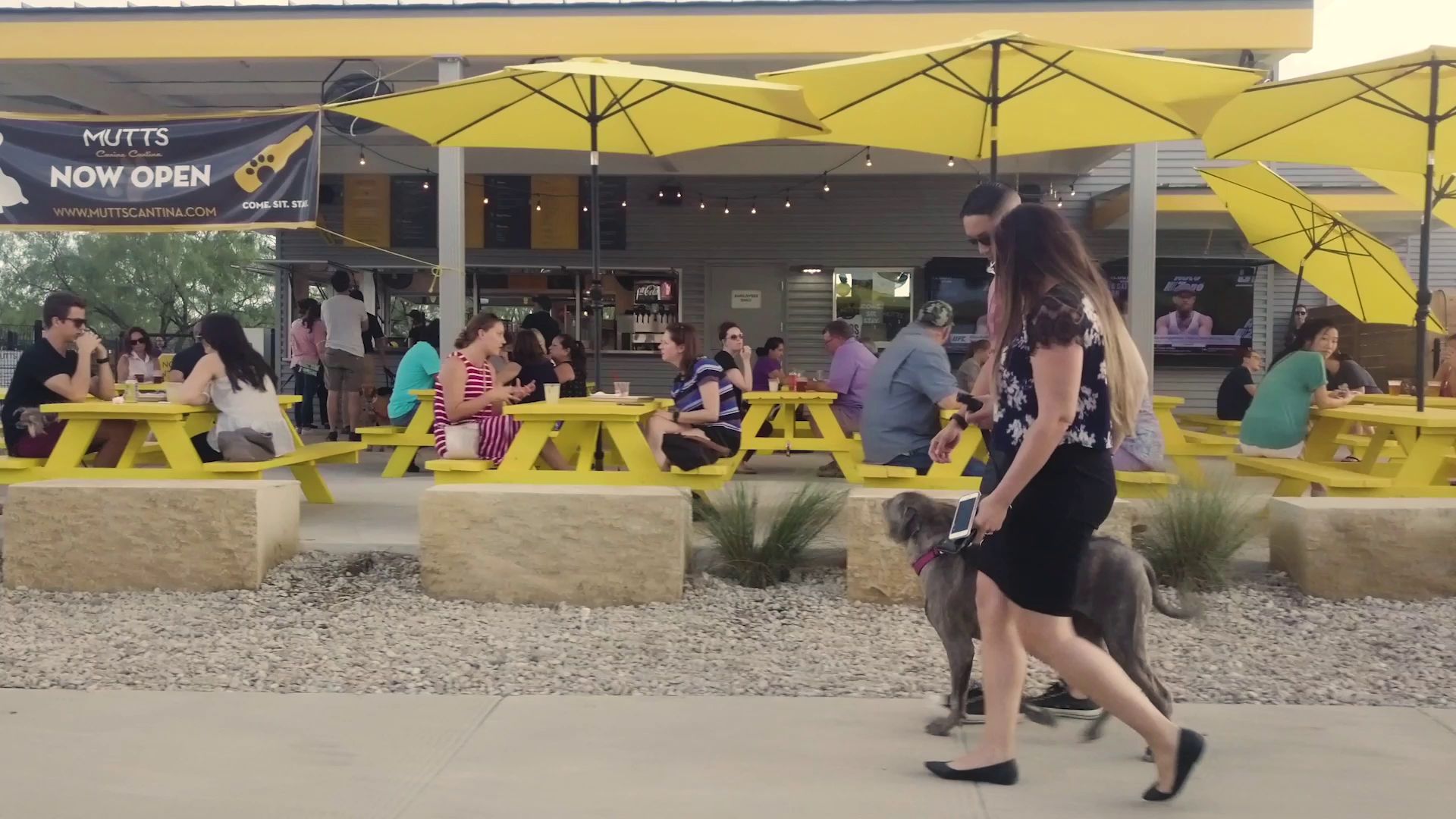 Dog Park Near Me in Austin - MUTTS Canine Cantina®