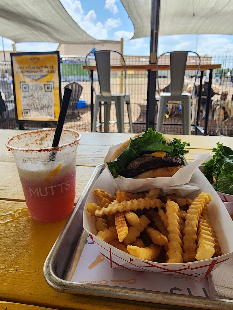 Dog Park Near Me in Austin - MUTTS Canine Cantina®