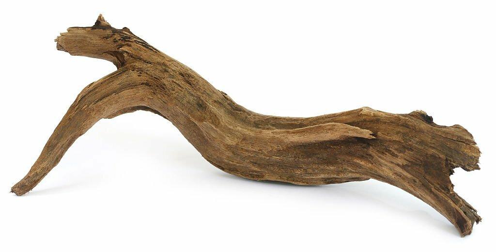 Kayu Aquascape Driftwood