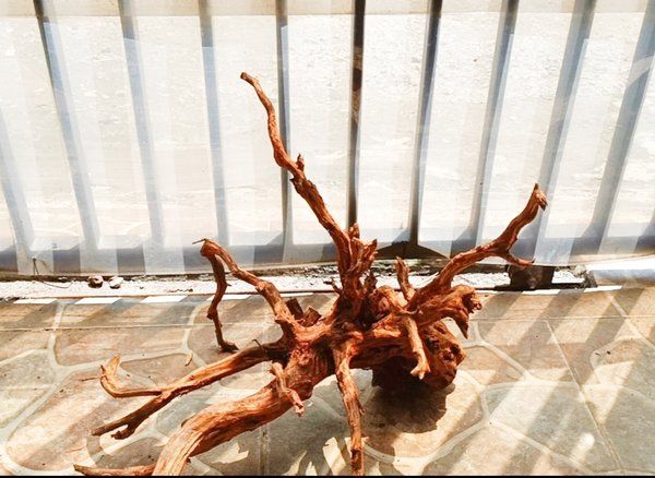 Kayu Aquascape Rasamala