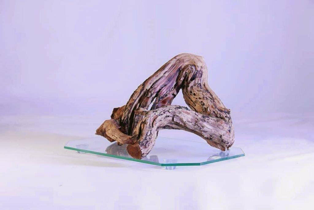 Kayu Aquascape Santigi