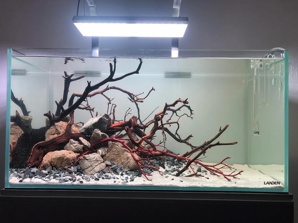 Kayu Aquascape
