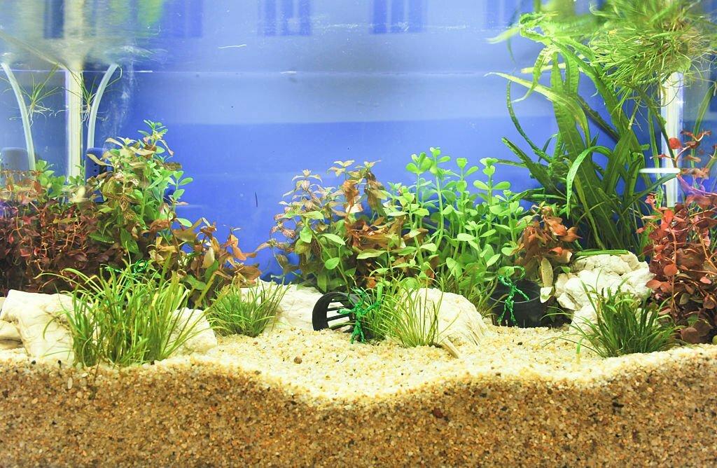 Substrat Aquascape