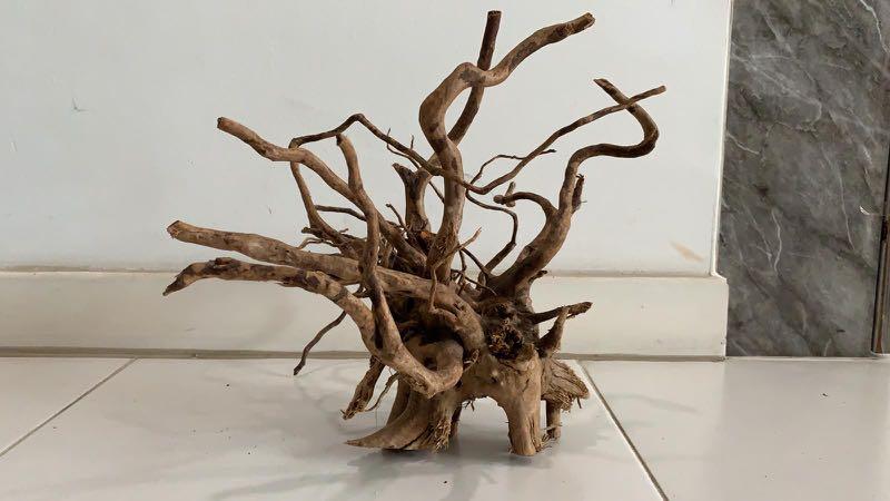 Kayu Aquascape