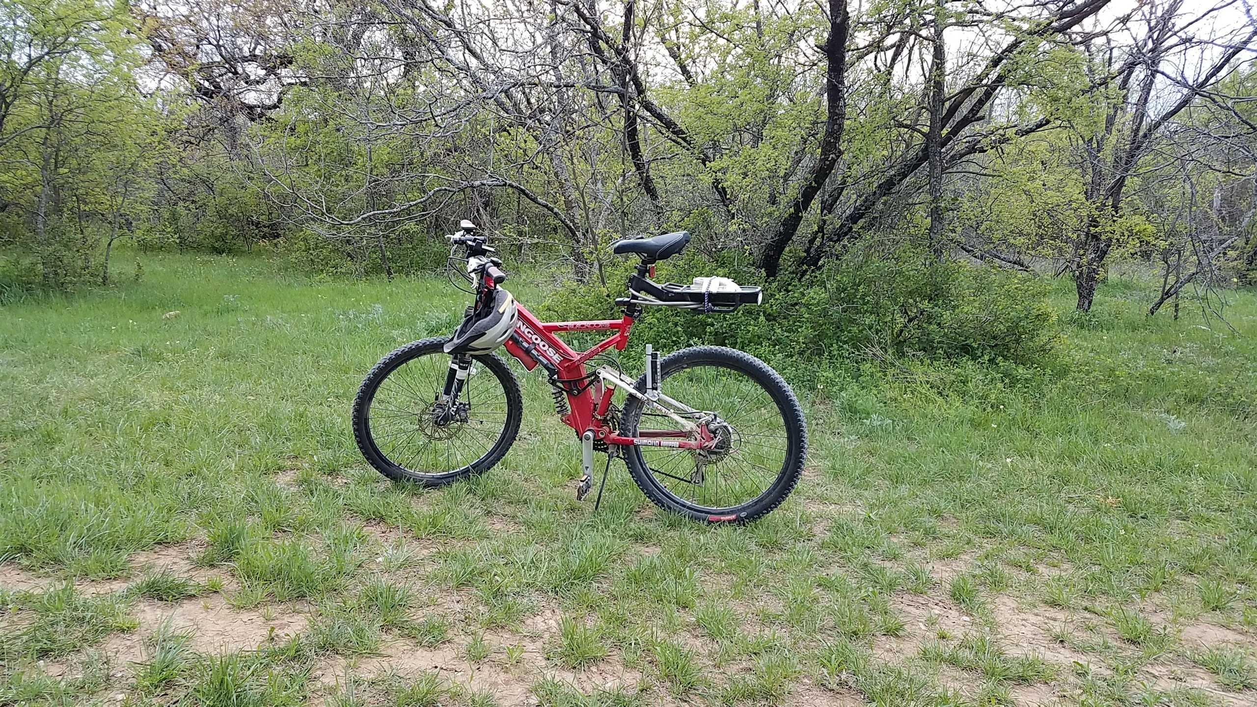 Mongoose black comb 2025