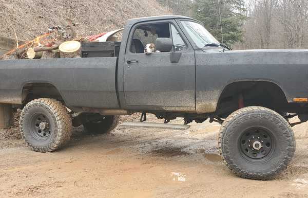 1991 Dodge W250