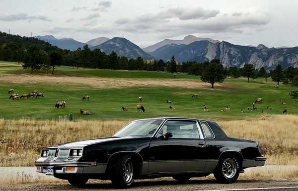 1985 Oldsmobile Cutlass 442