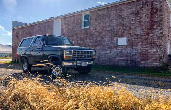 1981 Ford Bronco, Freewheeling, Trailer Special, Ranger XLT.