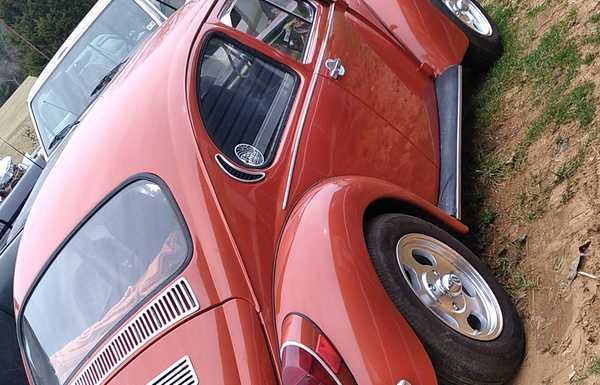 1971 vw super beetle