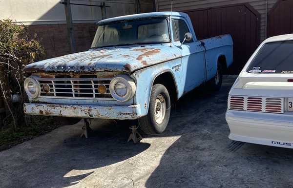 1967 Dodge D100