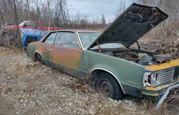 1979 Pontiac lemans