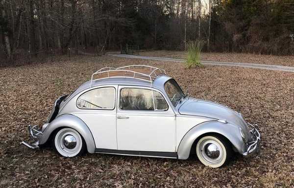 64 Beetle