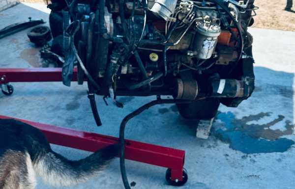 24v removed from donor 24v removed from donor
