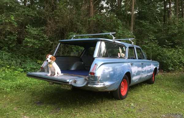 Dogs in cars photo in Hot Rod magazine. YAY!