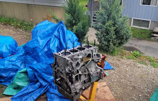 Stripping motor Stripping motor