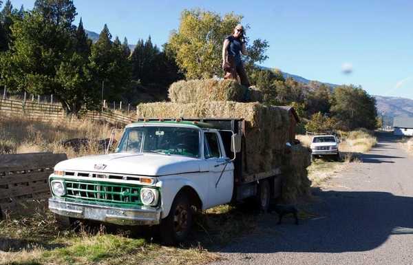 1965 cab n chassis