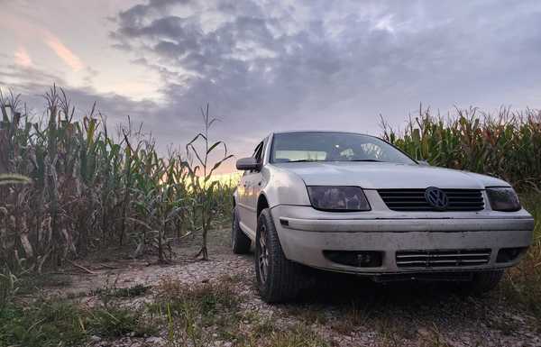 Field Beauty shot