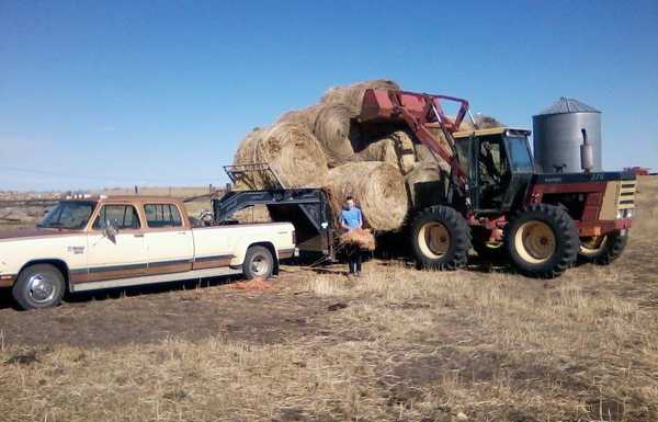One more bale One more bale