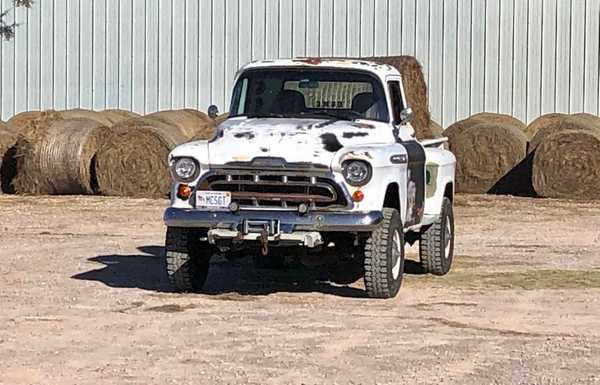 Ethyl, earning her keep on a trip to the feed store.