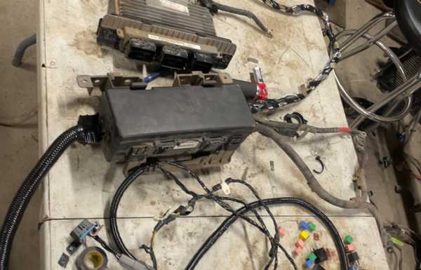 Body harness and pcm Body harness and pcm