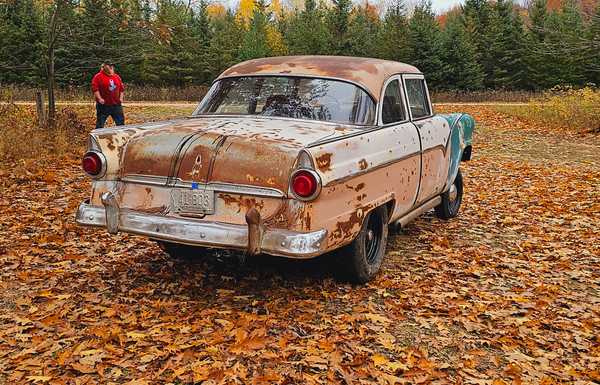 55 ford gasser