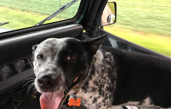 Diesel approves Diesel approves