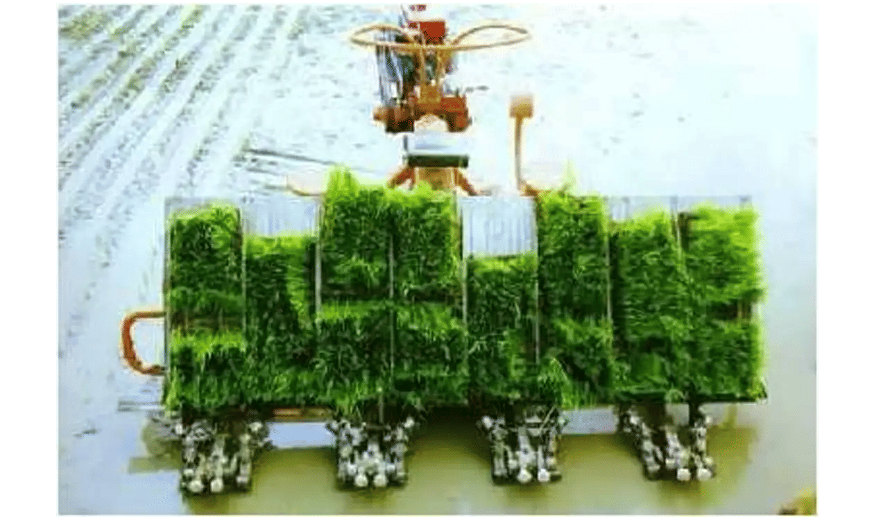 રોપા રોપવાનું મશીન માટે સહાય યોજના । Scheme for Paddy Transplanter Machine