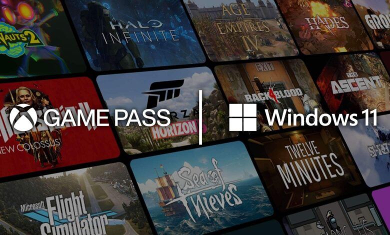 Windows 11 Hero Image
