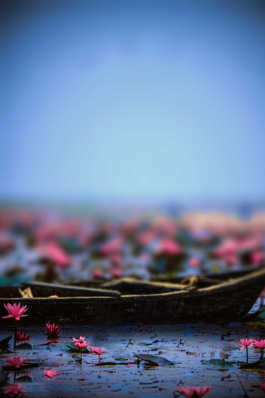 Featured image of post Background Keren Picsart : Add a background to any photo.