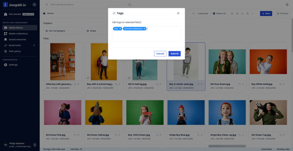 Manual and Standard AI Asset Tagging