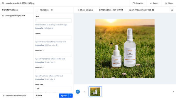 Built-in Image Editor