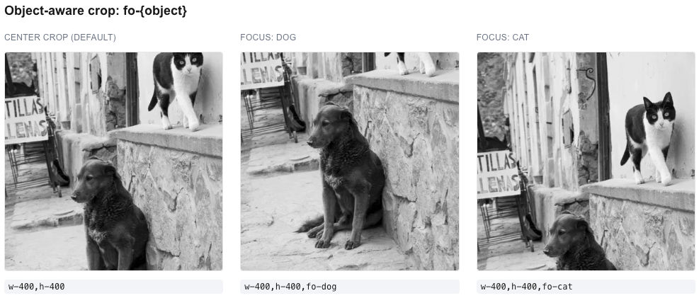 Three-way comparison showing default center crop alongside ImageKit fo-dog and fo-cat object-aware crops each centering the named subject