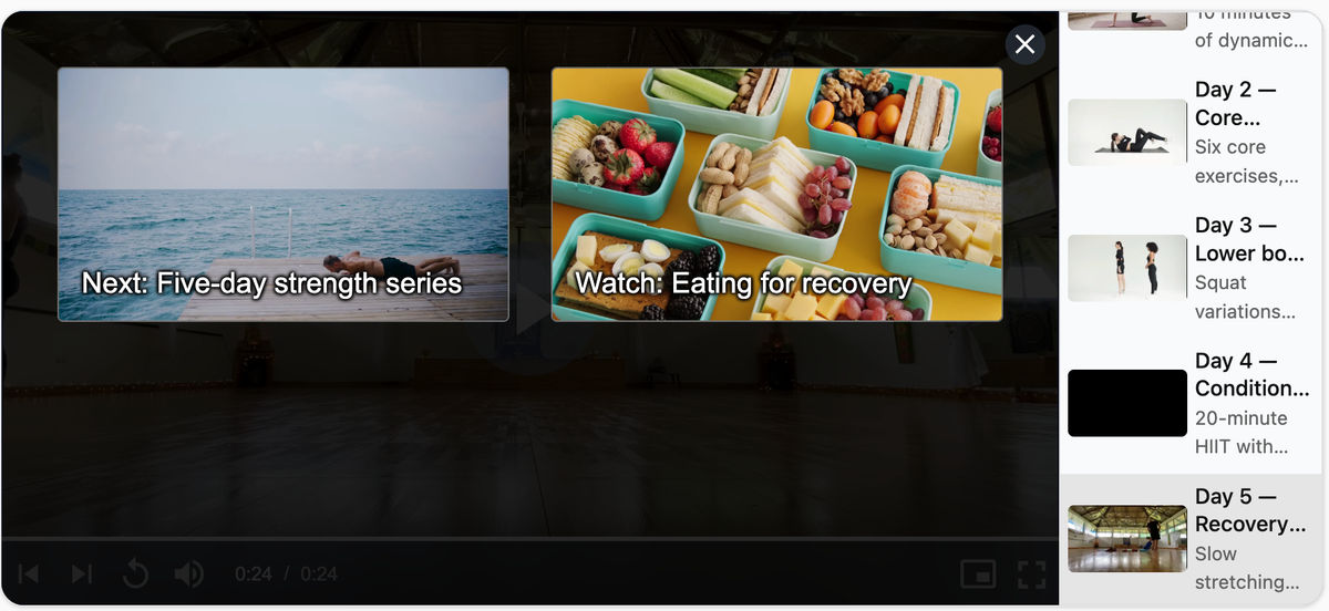 The end-of-series recommendations pane shown in place of the playlist widget after the final video ends.