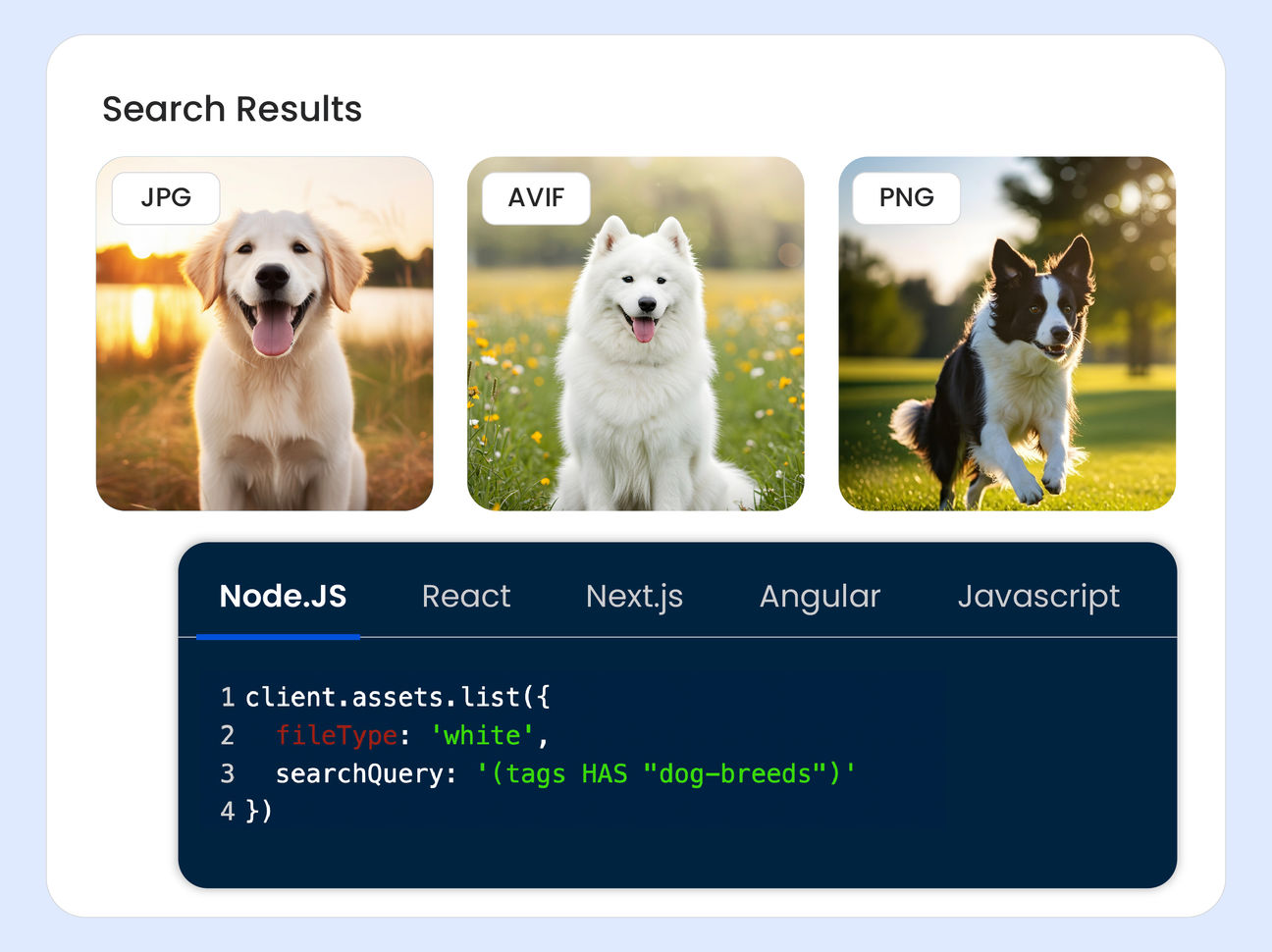 Fully programmable workflows using APIs